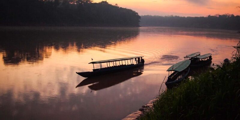 From Iquitos: Amazonas 4 Days 3 Nights - Experience and Highlights