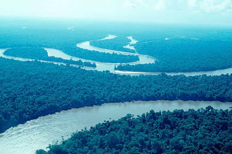 From Iquitos: Amazonas in 4 Days: | Nanay River + Monkeys | - Important Information
