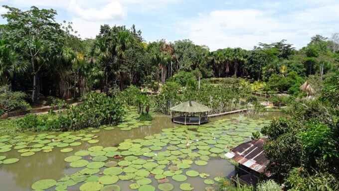 From Iquitos: Amazonas in 4 Days: | Nanay River + Monkeys | - Taking in Jungle Myths
