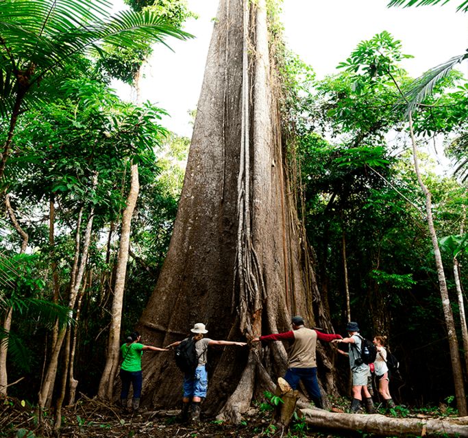 From Iquitos: Full Day Pacaya Samiria - Key Points