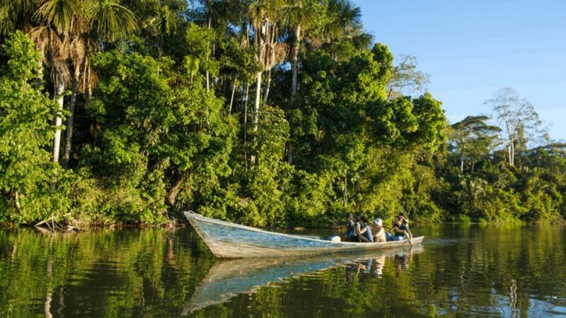 From Iquitos: Full Day Tour in the Peruvian Jungle - Key Points