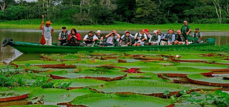 From Iquitos: Full Day Wild Life - Restrictions