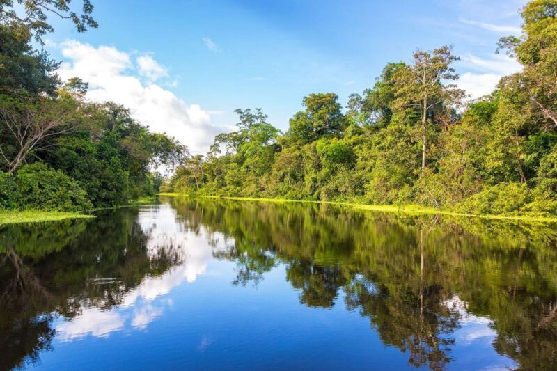 From Iquitos || Navigate the Amazon River - Full Day || - Highlights and Experiences