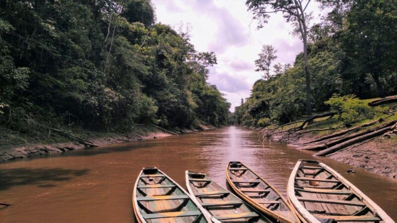 From Iquitos || Navigate the Amazon River - Full Day || - Customer Feedback