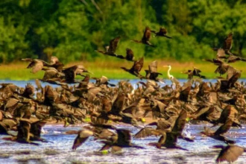 From Iquitos || Navigate the Amazon River - Full Day || - Contact Us