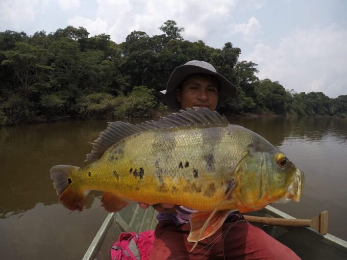 From Iquitos || Northern Amazon Excursion || 4D 3N - Language Support