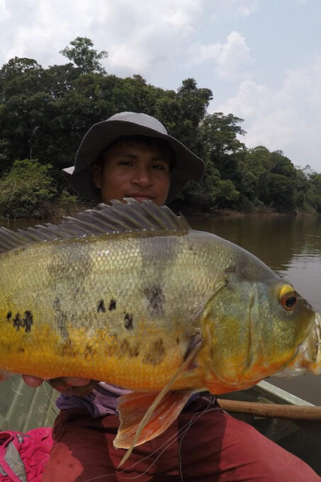 From Iquitos || Northern Amazon Excursion || 4D 3N - Frequently Asked Questions