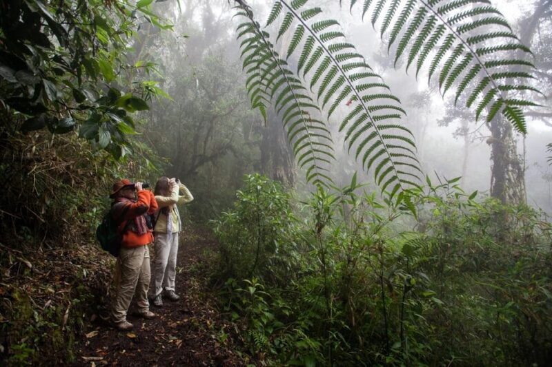 From Iquitos: Pacaya Samiria Reserve Jungle 5d/4n - Key Points