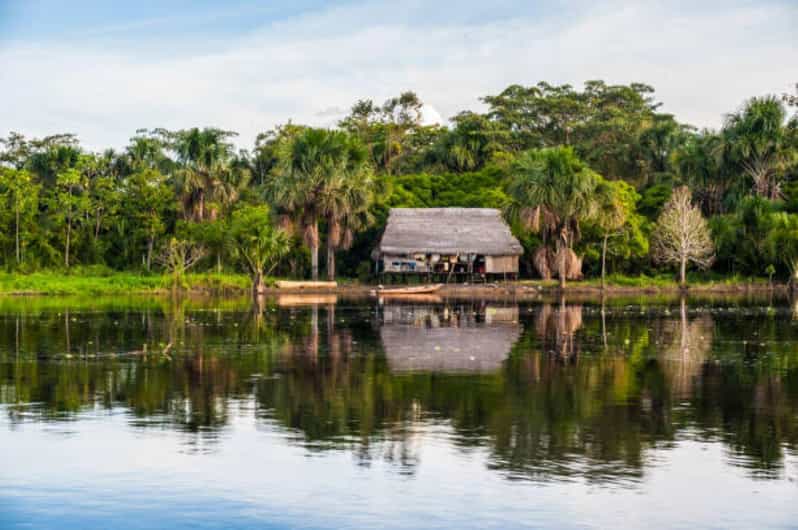 From Iquitos: Pacaya Samiria Reserve Jungle 5d/4n - Itinerary Highlights