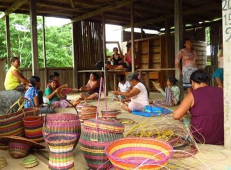 From Iquitos: Pacaya Samiria Reserve Jungle 5d/4n - Eco-Community Engagement