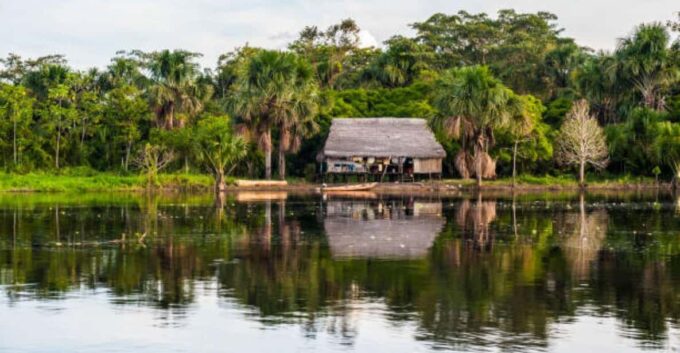 From Iquitos: Pacaya Samiria Reserve Jungle 5d/4n - Booking and Communication