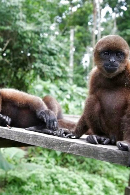 From Iquitos | Sunrise and Sightseeing Tour in 5 Days - Inclusions