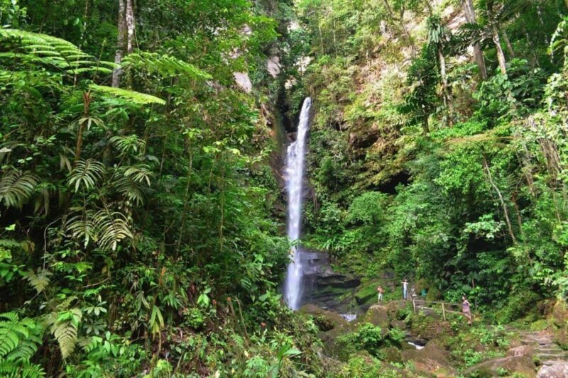 From Iquitos: the Magical Tarapoto (5d/4n) - Destination Highlights