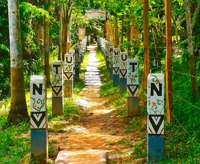 From Iquitos: Tour Iquitos Full Day - Butterfly Metamorphosis
