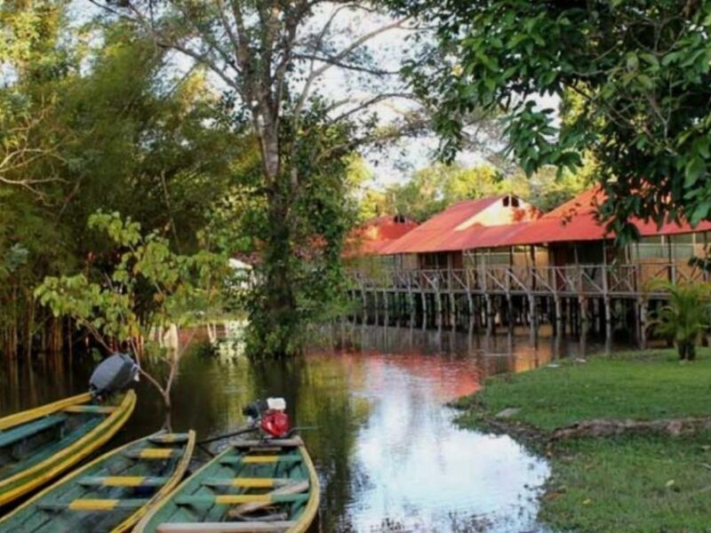 From Iquitos || Tour to the Amazon, Nanay and Momon Rivers|| - Booking Information