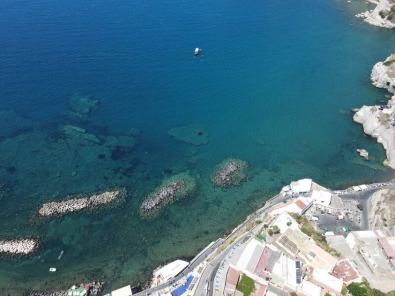From Ischia: Procida Island Full-Day Boat Tour With Lunch - Customer Experience
