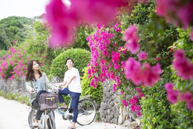 From Ishigaki: Hamajima and Taketomi Island Snorkel Trip - Visiting Hamajima