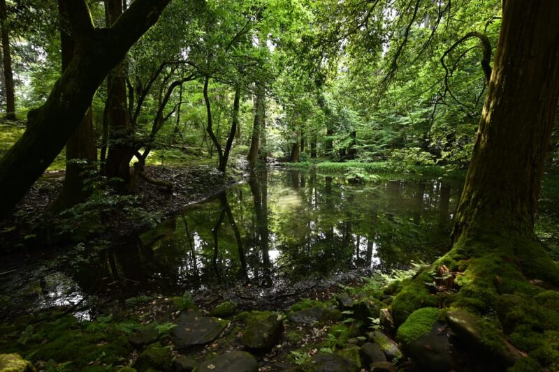 From Ishikawa : Hakusan Religious Tourism (4 Days Version) - Preparation and Guidelines