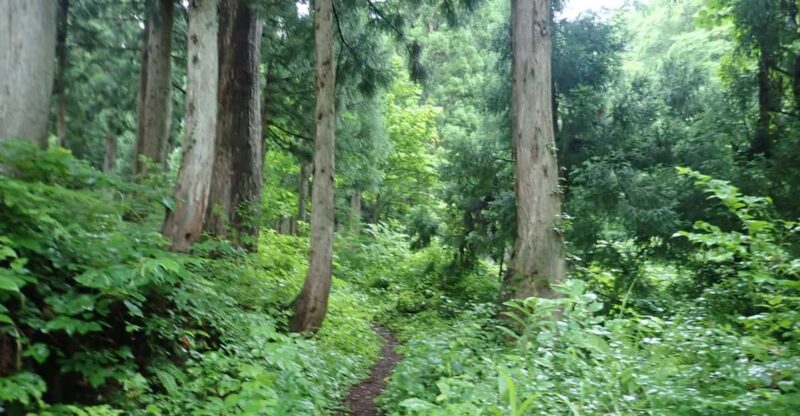 From Ishikawa : Hakusan Religious Tourism (8 Days Version) - Climbing Mt. Haku