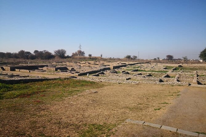 From Islamabad: Full Day Guided Taxila Ruins Exploration Tour - Reviews and Feedback
