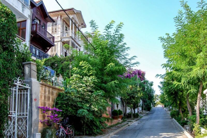From Istanbul: Full-Day Princes Island Tour With Lunch - Itinerary and Activities
