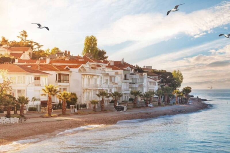 From Istanbul: Full-Day Princes Island Tour With Lunch - Tour Highlights