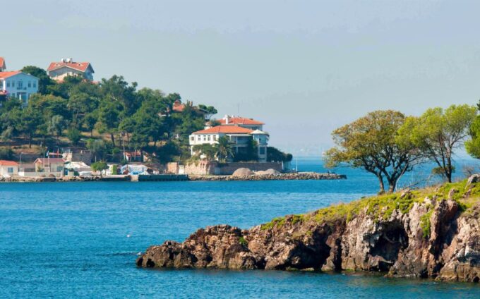 From Istanbul: Full-Day Princes Island Tour With Lunch - Accessibility and Restrictions