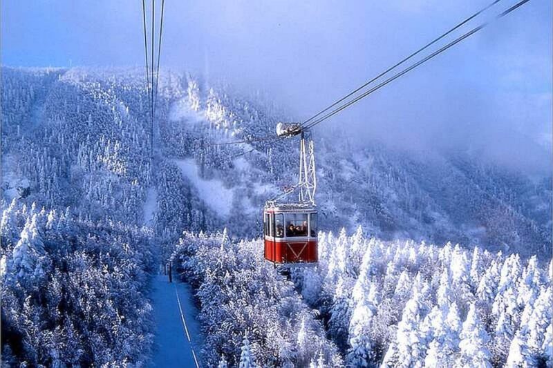 From Istanbul: Full-Day Tour to Bursa - Inclusions and Exclusions