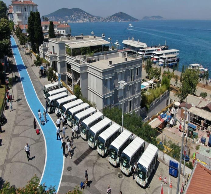 From Istanbul: Princes Islands Tour With Lunch - Professional Tour Guide