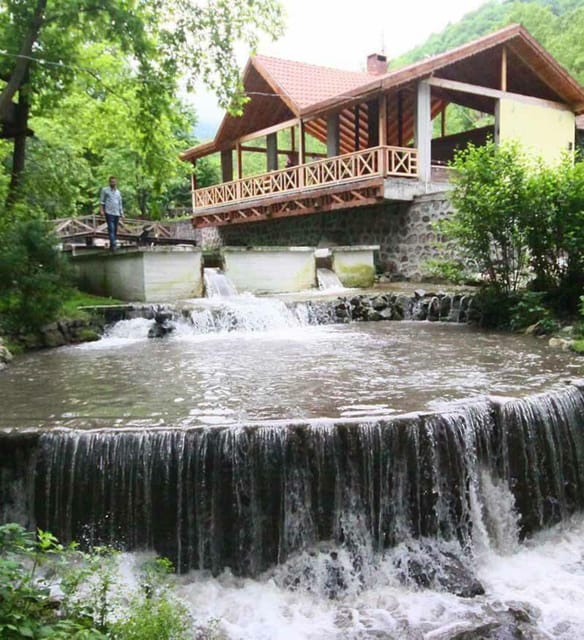 From Istanbul: Sapanca and Masukiye Day Trip With Lunch - Customer Feedback and Considerations