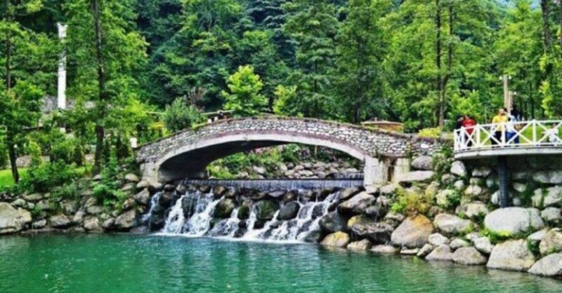 From Istanbul: Sapanca and Masukiye Day Trip With Lunch - Customer Ratings and Feedback