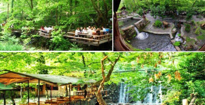 From Istanbul: Sapanca and Masukiye Day Trip With Lunch - Additional Activities and Experiences