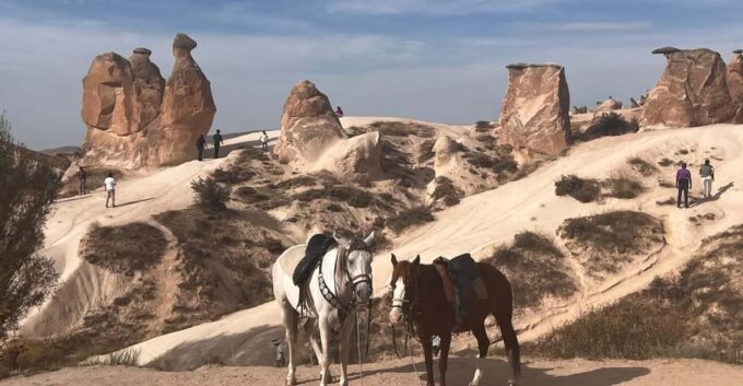 From Istanbul to Cappadocia Day Trip With Flight Tickets - Booking and Cancellation Policy