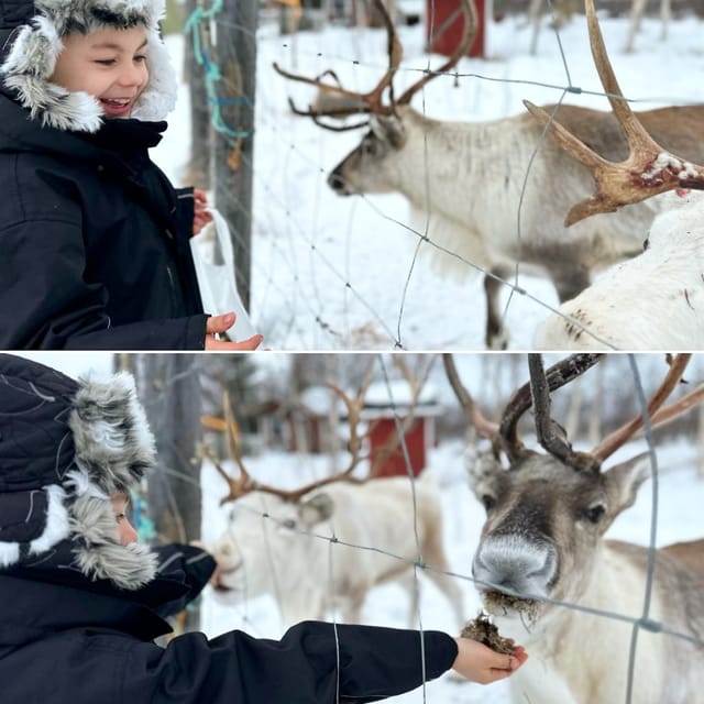 From Ivalo: Ice Fishing Tour to Lake Inari, Including Lunch - Local Hosts and Cultural Insight