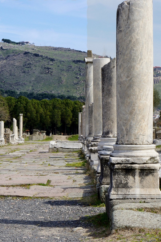 From Izmir: Private Day Trip to Acropolis of Pergamon - Highlights and Itinerary
