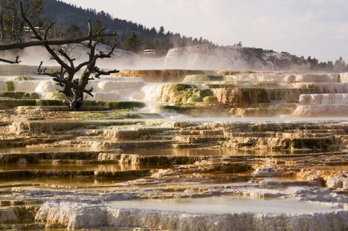 From Jackson: 2-Day Grand Teton and Yellowstone Tour - Frequently Asked Questions