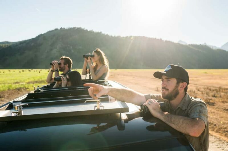 From Jackson: 4-Hour Eco Safari in Grand Teton National Park - Key Points