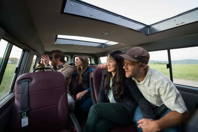 From Jackson: 4-Hour Eco Safari in Grand Teton National Park - An In-Depth Look at the 4-Hour Eco Safari