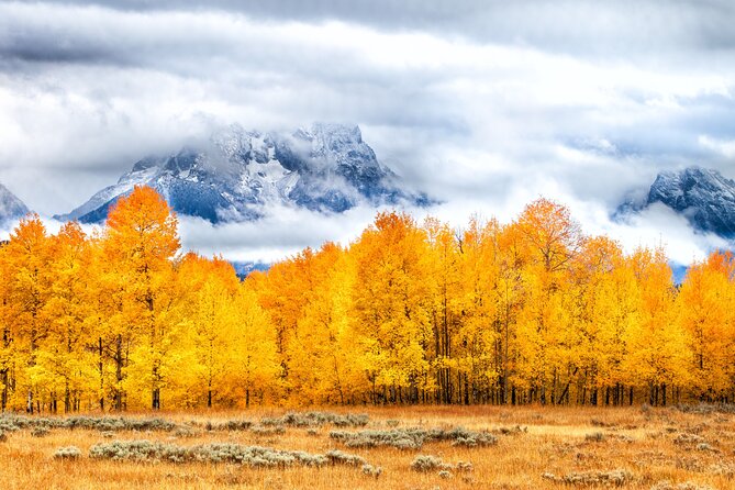 From Jackson: Full-Day Grand Teton Wildlife and Scenery Tour With Lunch - Scenic Drives and Landscapes