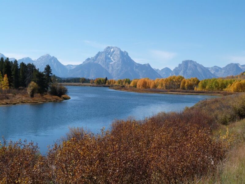 From Jackson: Half-Day Grand Teton National Park Tour - Customer Reviews