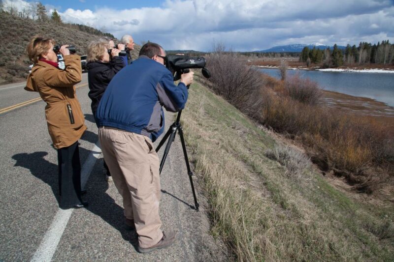 From Jackson Hole: Half-Day Grand Teton Wildlife Tour - Important Notes