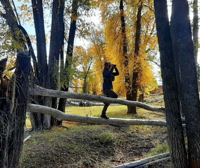 From Jackson Hole: Half-Day Grand Teton Wildlife Tour - Pickup Times