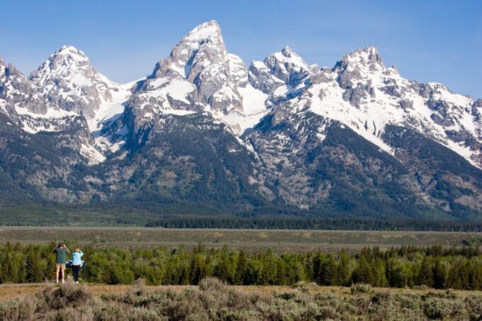 From Jackson Hole: Half-Day Grand Teton Wildlife Tour - Frequently Asked Questions