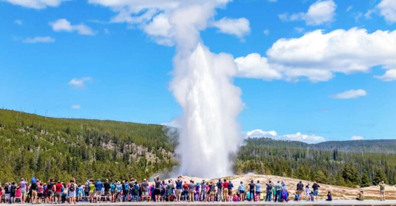 From Jackson: Yellowstone Day Tour Including Entrance Fee - Itinerary and Highlights