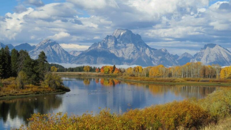 From Jackson: Yellowstone Day Tour Including Entrance Fee - What to Bring and Restrictions