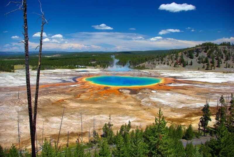 From Jackson: Yellowstone Day Tour Including Entrance Fee - Customer Reviews and Recommendations