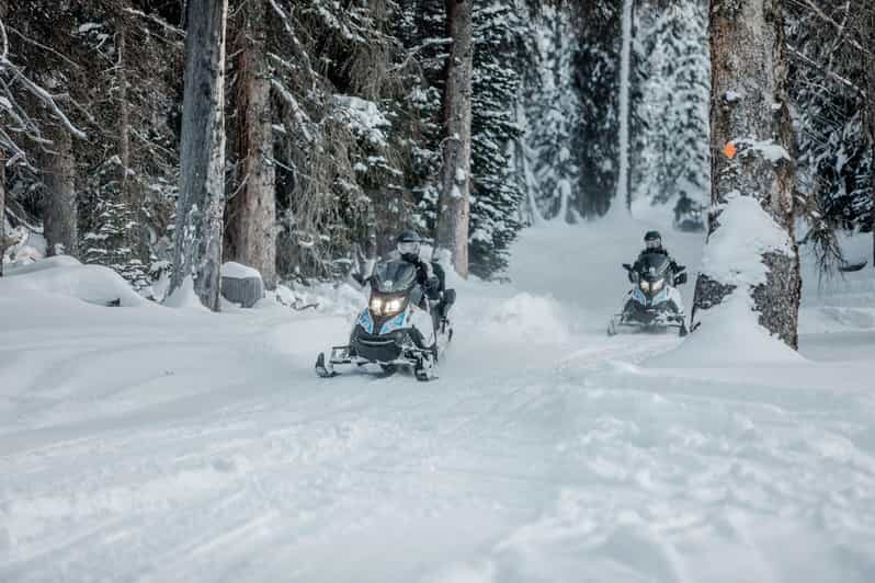 From Jackson: Yellowstone Grand Canyon Snowmobile Tour - Who Would Love This Tour?