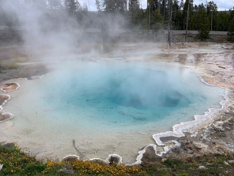 From Jackson: Yellowstone National Park Day Trip With Lunch - Itinerary and Highlights