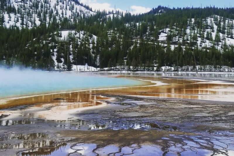 From Jackson: Yellowstone National Park Day Trip With Lunch - Customer Reviews and Ratings