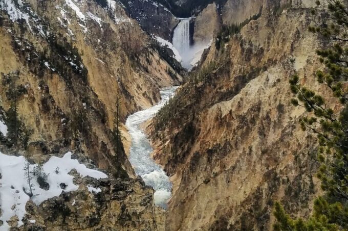 From Jackson: Yellowstone National Park Day Trip With Lunch - Immersive Hikes and Boardwalks